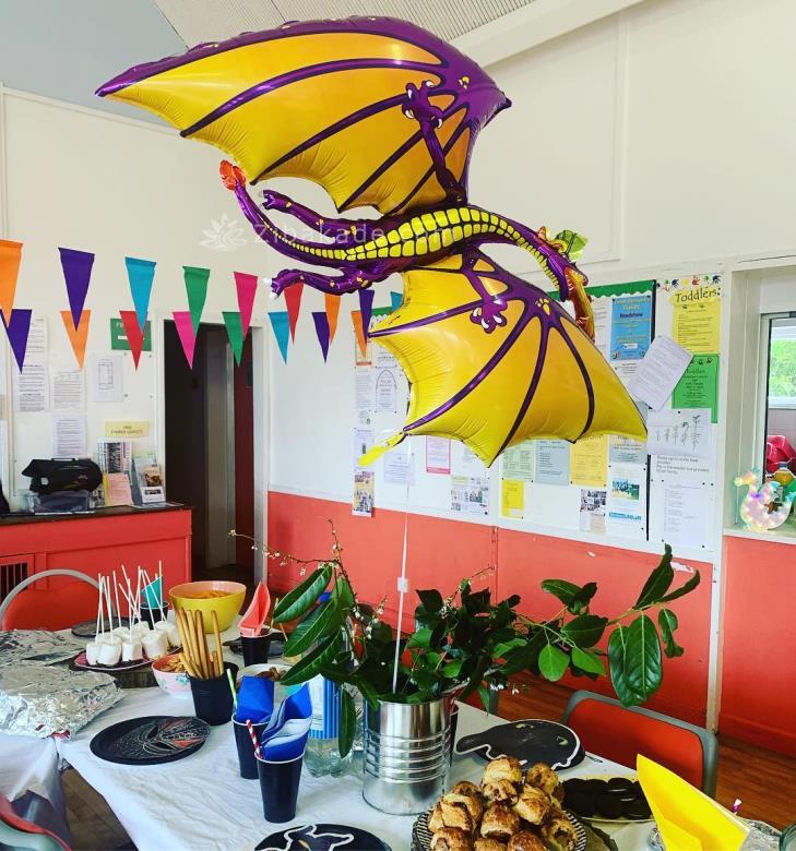 تم تولد مربی اژدها - How to Train Your Dragon